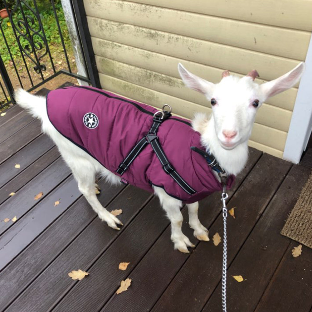 Waterproof Dog Coat with Harness - Winter Jacket for Big Dogs