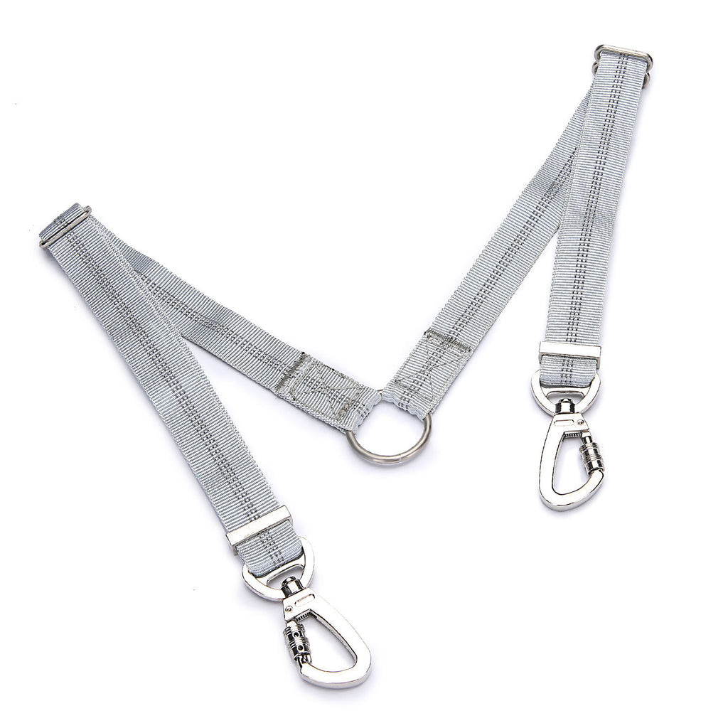 Explosion-proof double-headed pet leash