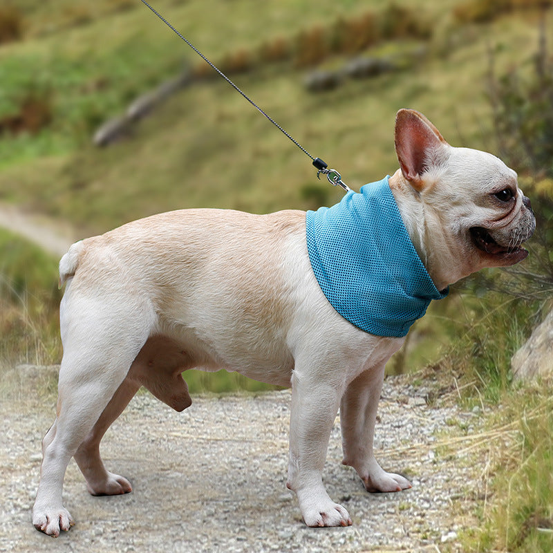 Instant Cooling Pet Bandana - Summer Heat Relief Scarf for Dogs