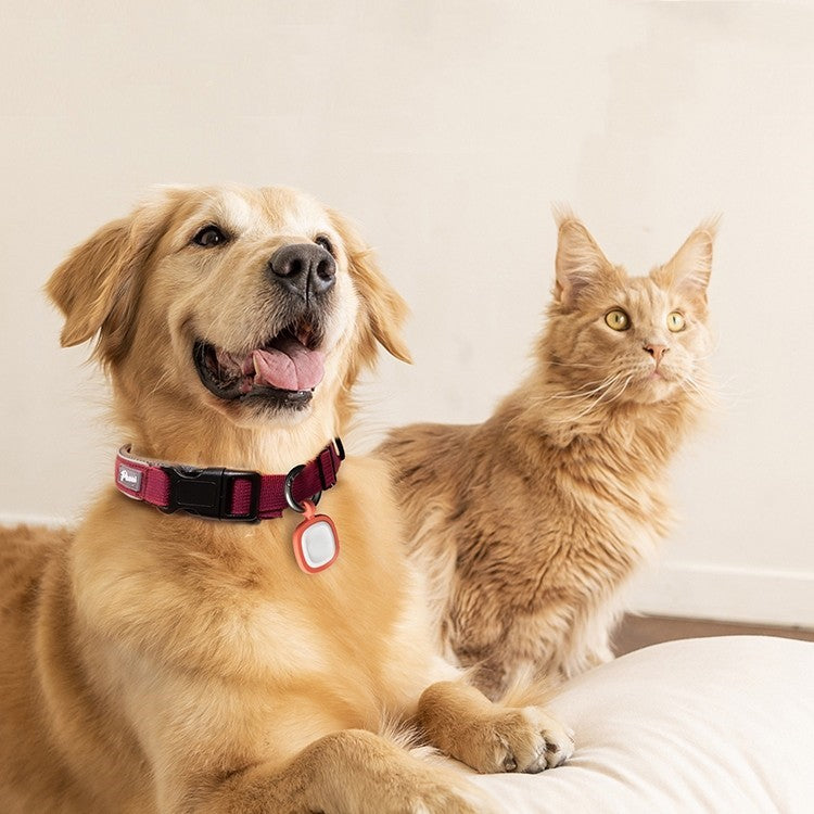 Pet ID Tag - QR Code Smart Tag for Dogs & Cats