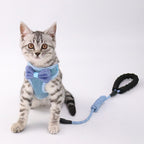 Bow-Tie Vest Harness & Leash Set - No-Pull Design for Cats & Small Dogs