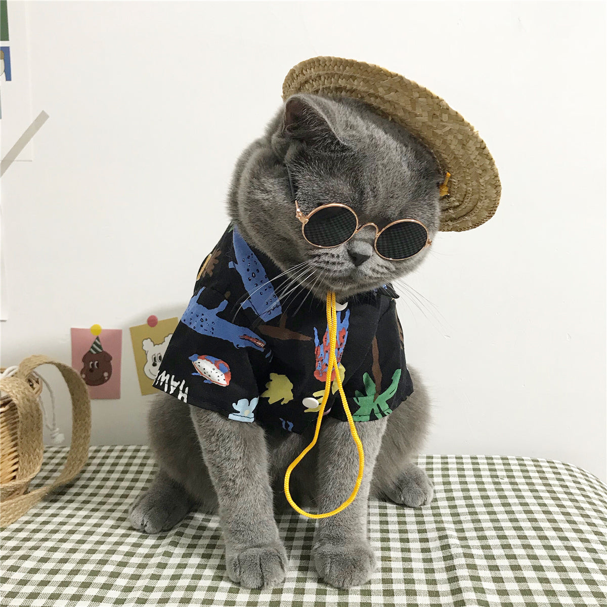 Cat Summer Outfit - Lightweight Shirt with Accessories Set