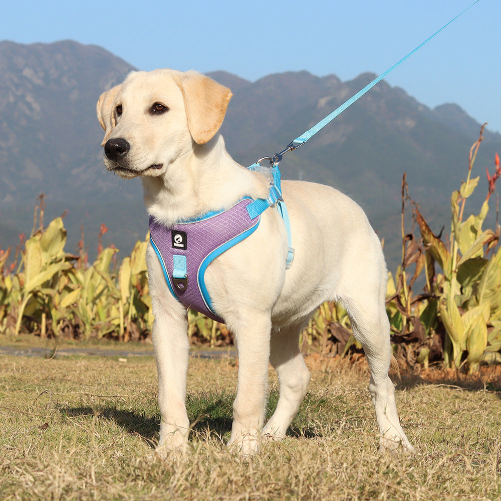 Breathable Pet Harness - Adjustable No-Pull Dog Leash Set
