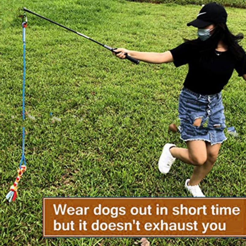 Dog Teaser Rope Toy - Interactive Cotton Rope for Training & Play