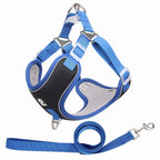 Breathable Mesh Pet Harness & Leash Set - No-Pull Design for Comfortable Walks