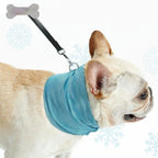 Instant Cooling Pet Bandana - Summer Heat Relief Scarf for Dogs