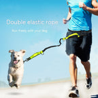 Multifunctional Pet Rope - Durable Leash, Training Aid & Play Toy