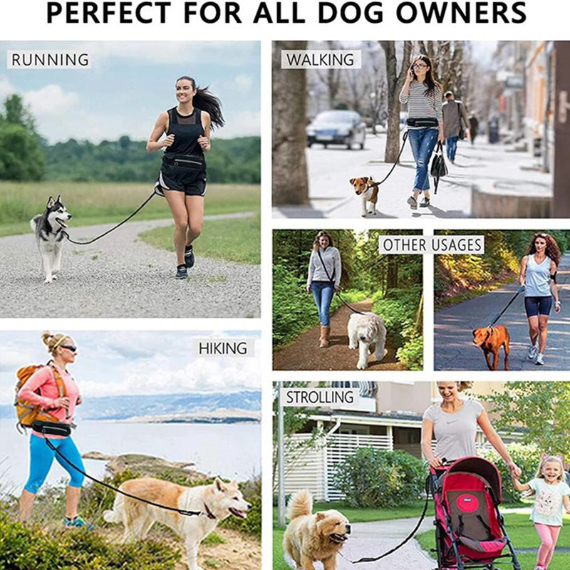 Hands Free Dog Leash Pet Walking And Training Belt With Shock Absorbing Bungee Leash For Up To 180lbs Large Dogs Phone Pocket And Water Bottle Holder