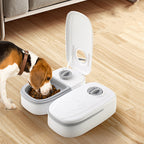 Automatic Pet Feeder - Gravity Food & Water Dispenser with Stainless Steel Bowl